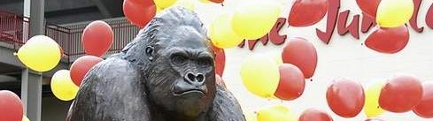 gorillabanner