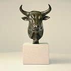 Bull Bust